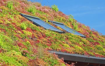 Hamerton living roof systems